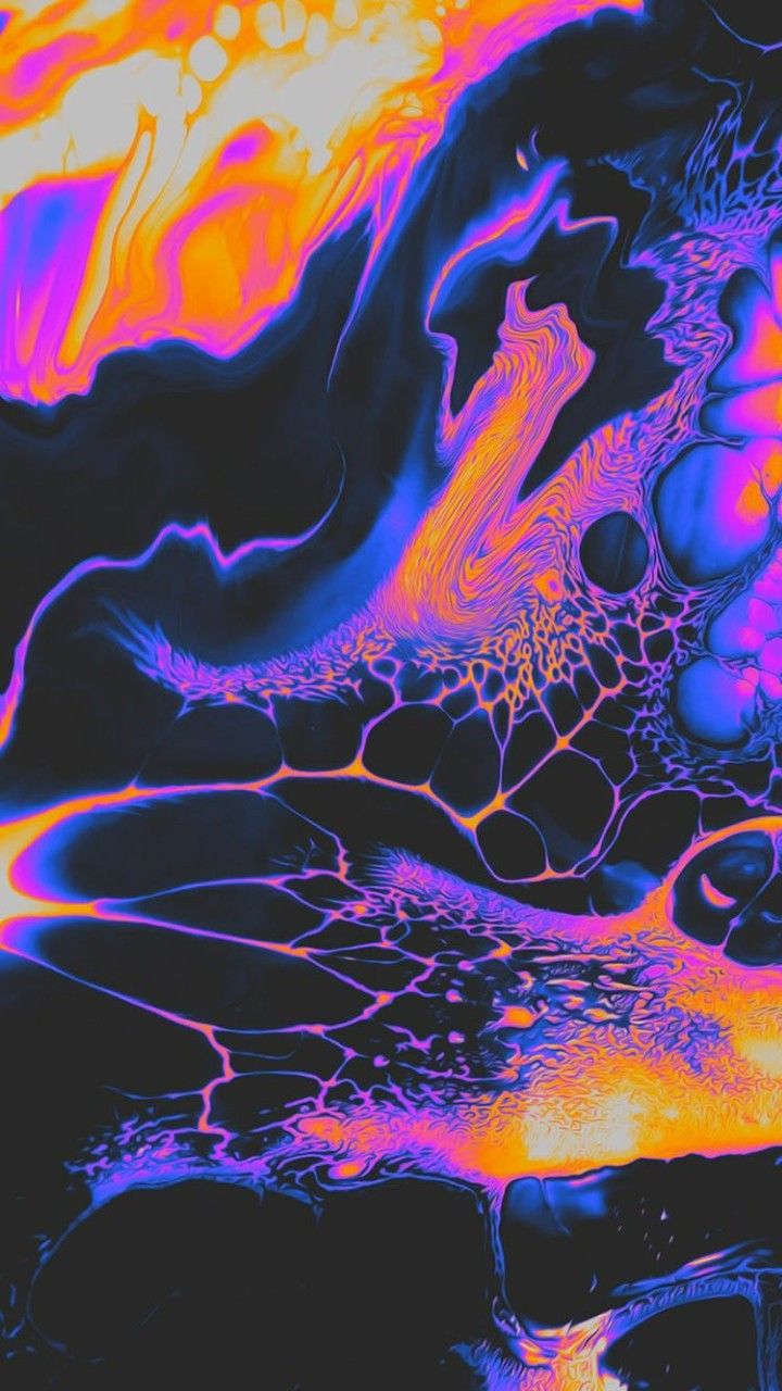 كسينيا فيكلا