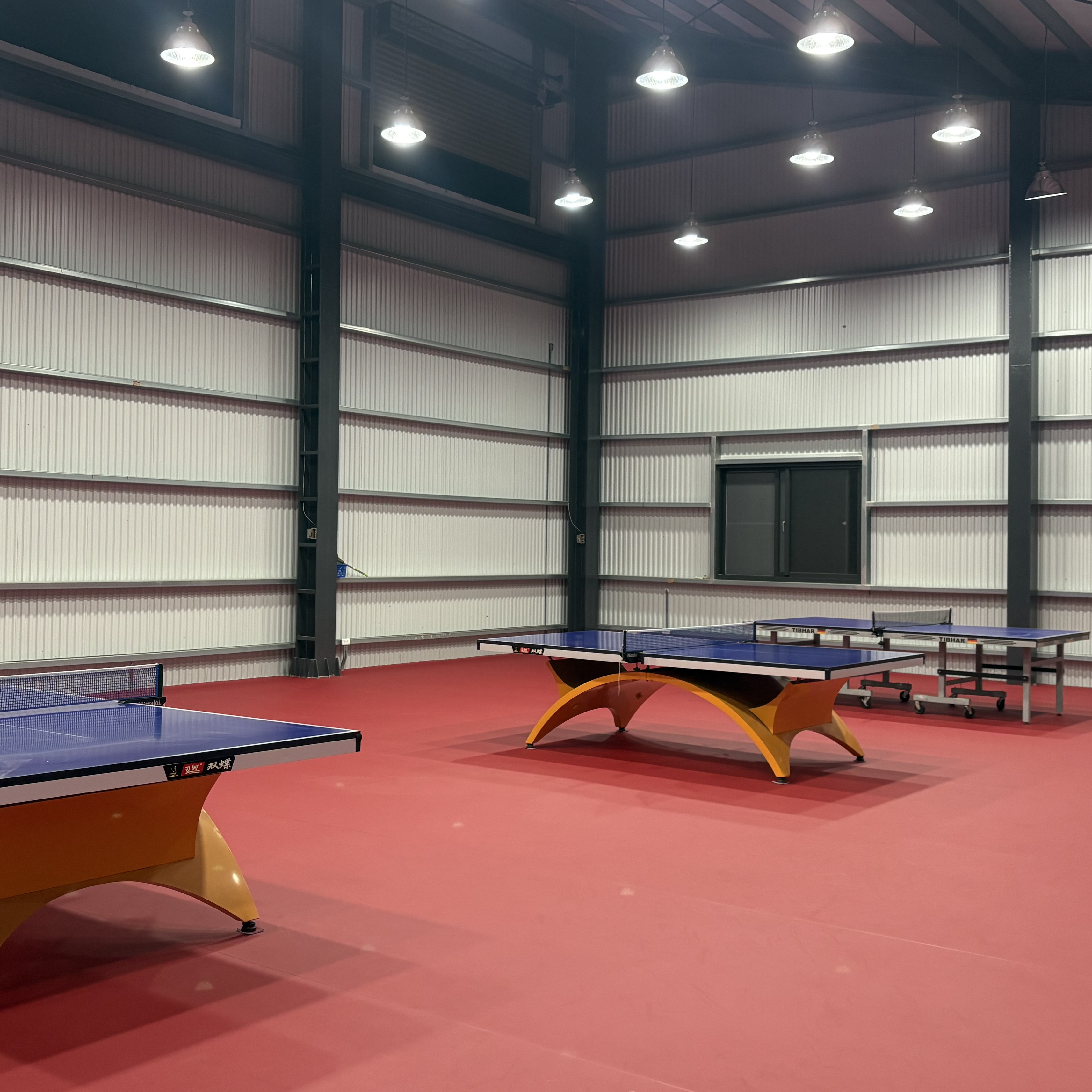 嘉義帝寶運動聯盟