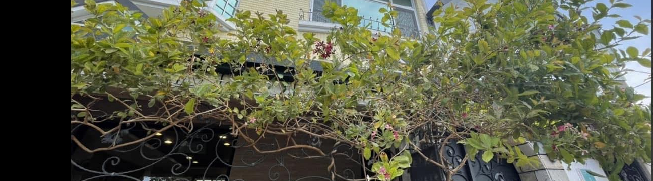 台南民宿推薦 台南住宿推薦 台南旅遊推薦 台南安平民宿推薦 Guesthouse 臺南民宿推薦