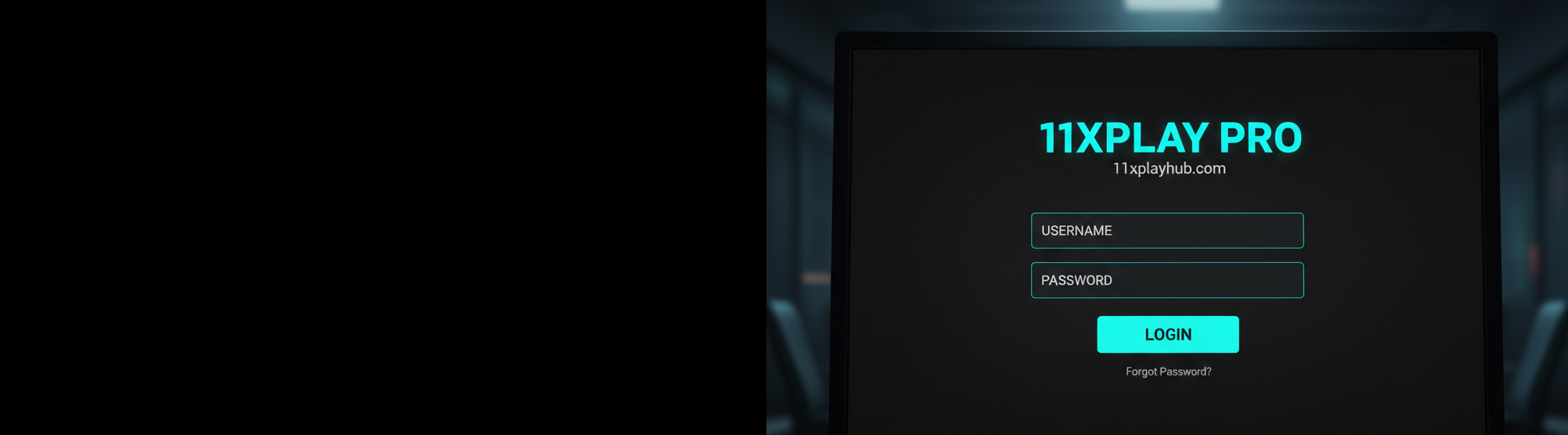 11xplay  black login