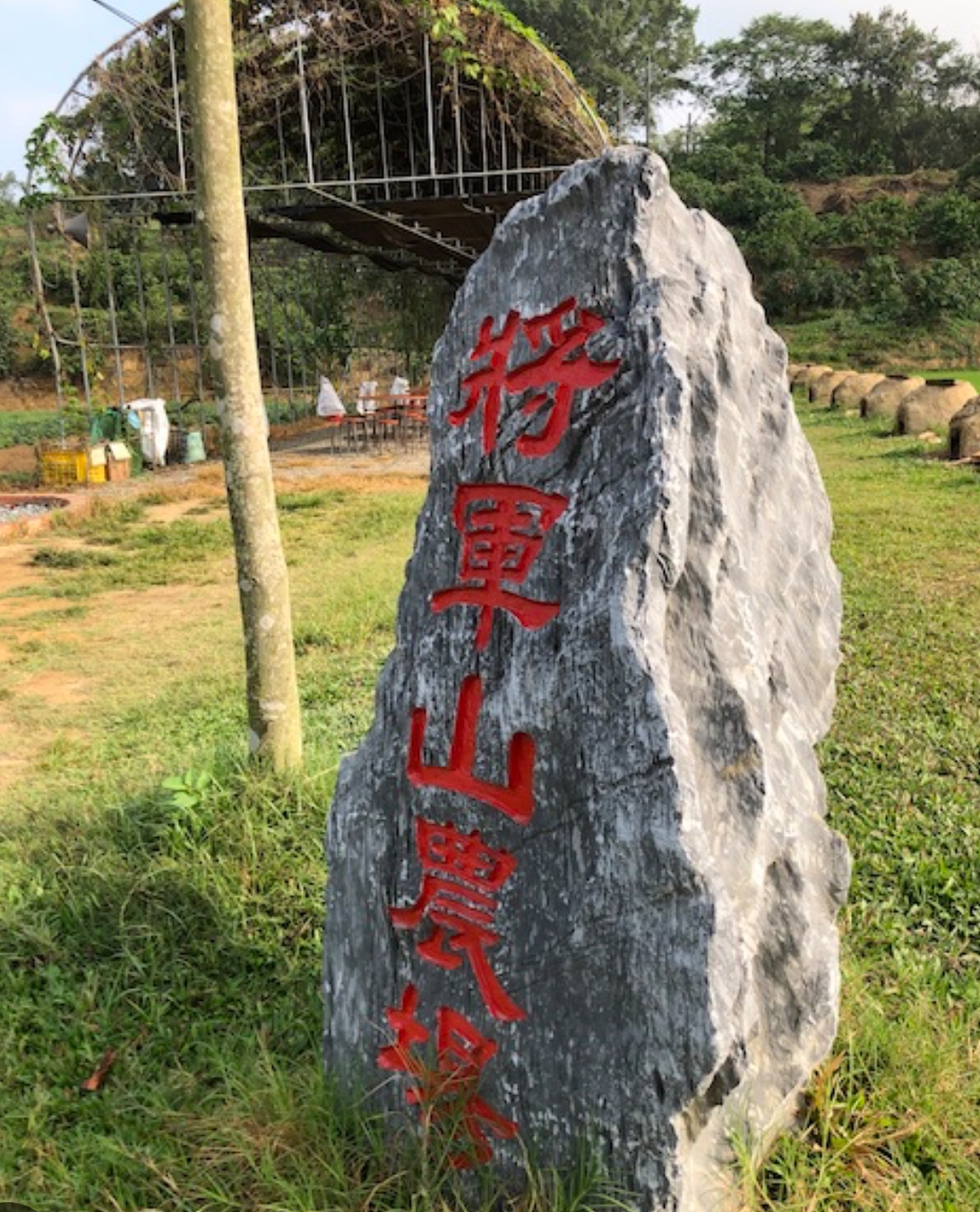 將軍山農場mgbox將軍山農場台南休閒農場 