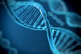 Genomic Testing Solutions Market Trends (2025&ndash;2034): Strategic and Regional Outlook