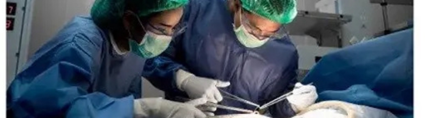general gynaecology