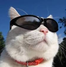 botiantools botiantools