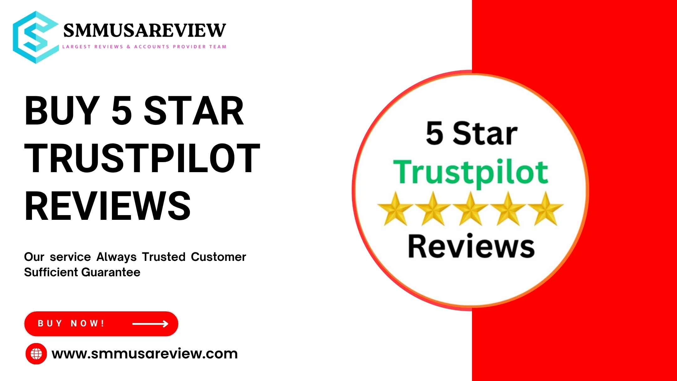 Discover 5-Star Trustpilot Review Gems in the USA