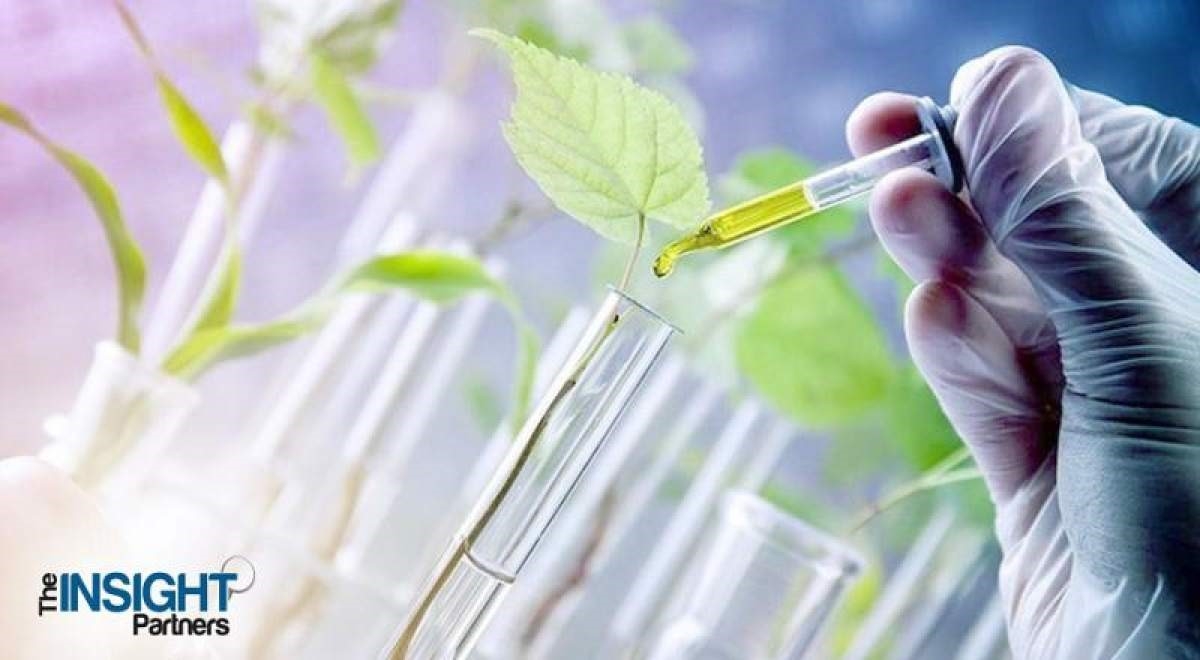 Polyurethane Microspheres Market Outlook Strengthens with Material Innovation