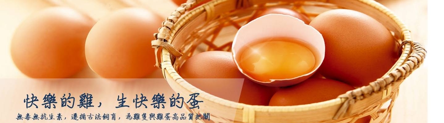 星星 YU