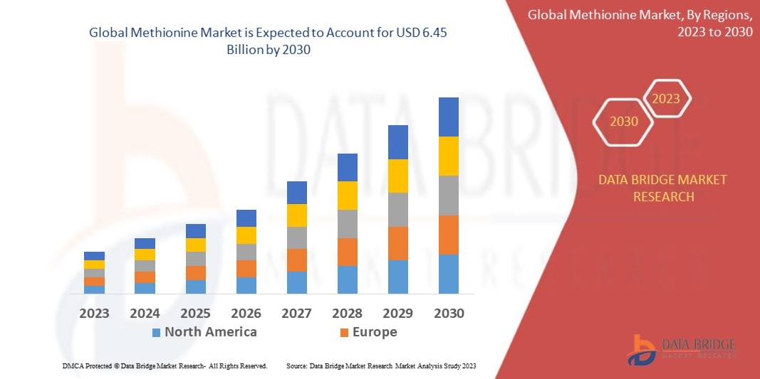 Methionine Market Share, Growth Drivers &amp; Global Forecast Report