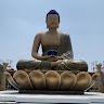 蓓蓓 陳
