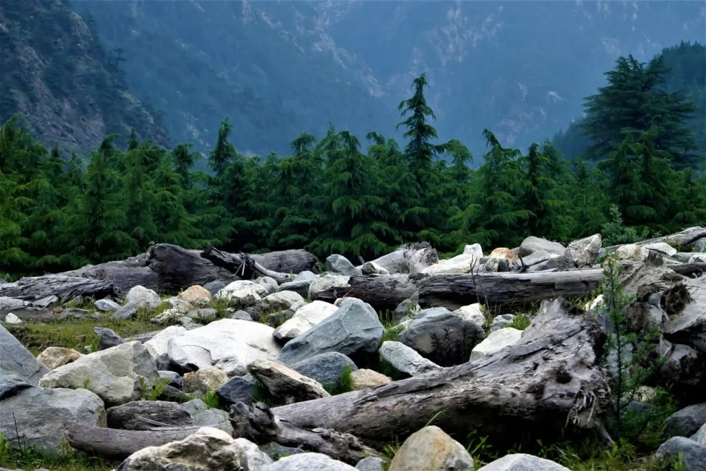 Harsil Valley Tour Package | Junglee Rasta