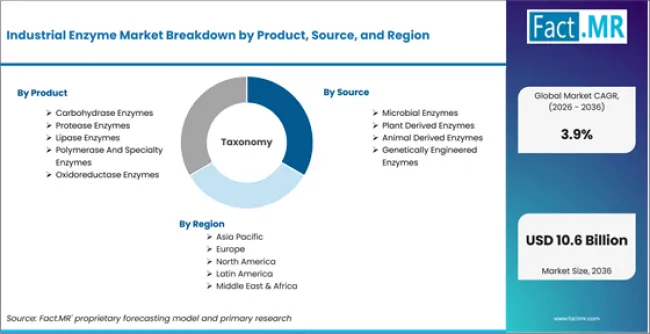 Global Industrial Enzymes Market to Reach US$ 9.84 Billion by 2034, Supported by Sustainable Industrial Transformation