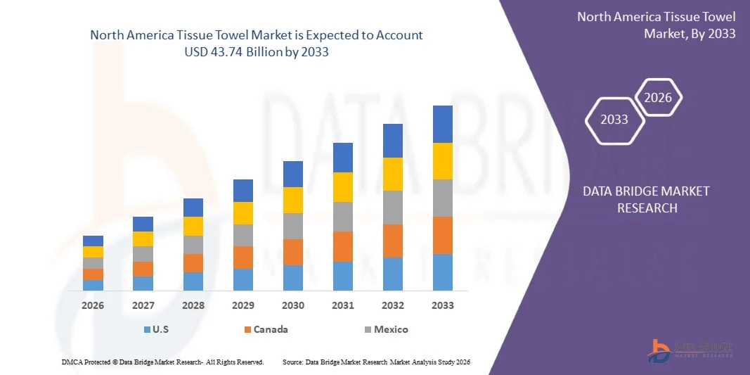 North America Tissue Towel Market Size, Demand Analysis &amp; Growth Forecast