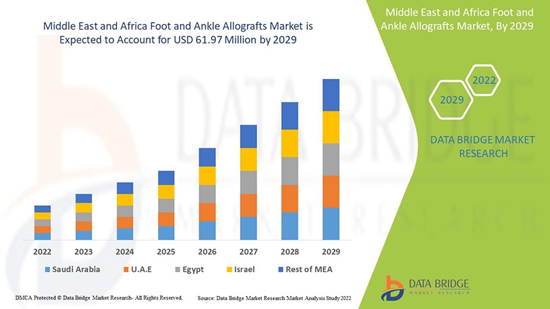Middle East &amp; Africa Foot and Ankle Allografts Market Size &amp; Forecast Report