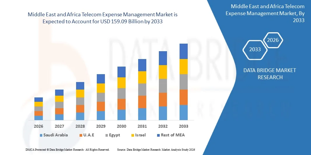 Middle East and Africa Telecom Expense Management Market Size, Trend Analysis by 2033