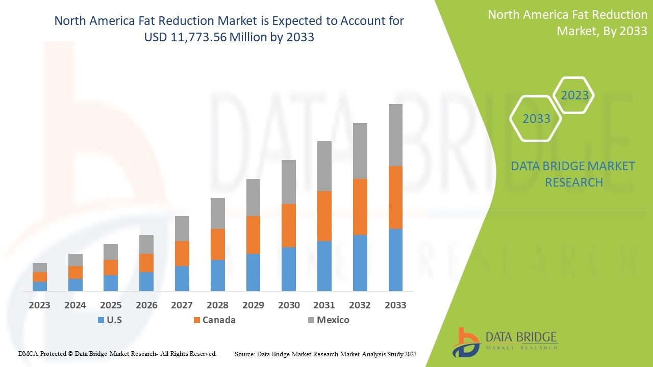 North America Fat Reduction Market size, Trends analysis and Forecast by 2033