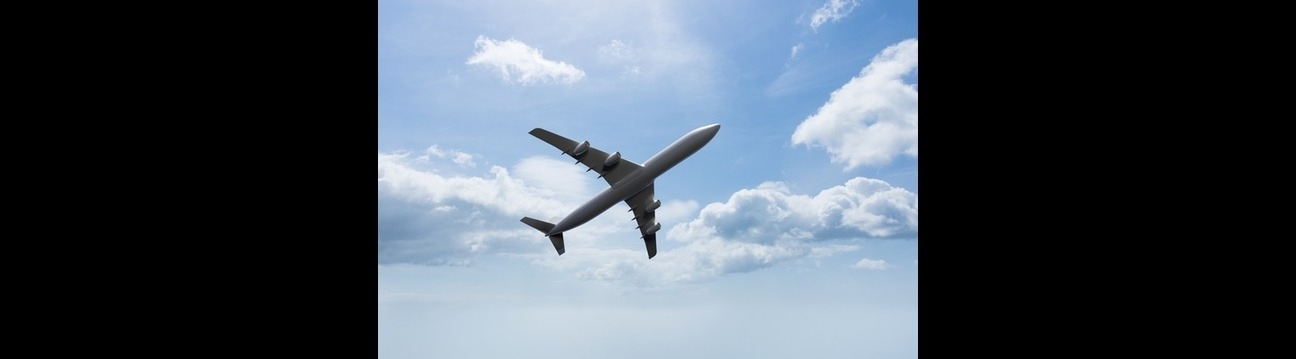 Rushmy Flight