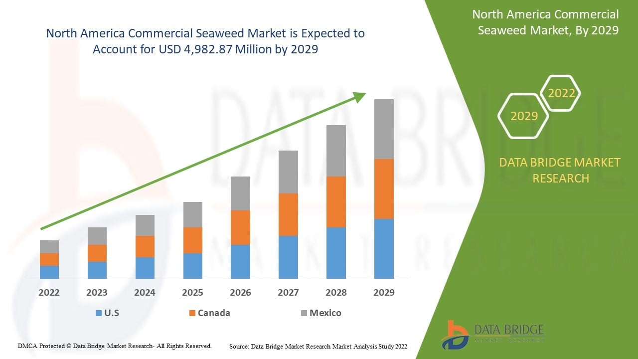 North America Commercial Seaweed Market size, Trends analysis and Forecast by 2029