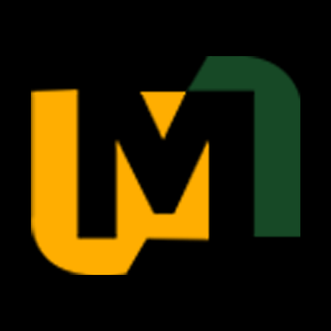 Myassignmenthelp.co.in