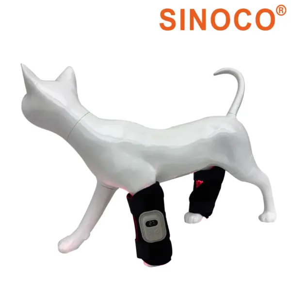 Dog Red Light Therapy: A Natural Way to Support Your Pet's Health with Sinocotherapy