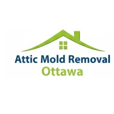 atticmoldremovalottawa