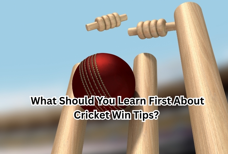 What Should You Learn First About Cricket Win Tips? 