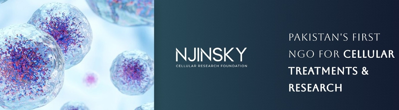 Njinsky Foundation